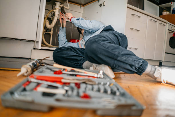 Best Residential Plumbing Services  in Cienega Springs, AZ