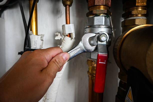 Best Plumbing Inspection Services  in Cienega Springs, AZ